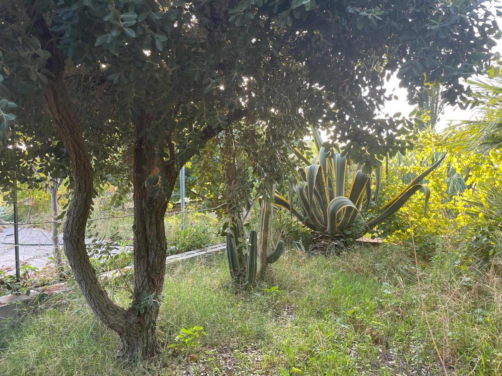 Villa Vittoria Трапето Екстериор снимка